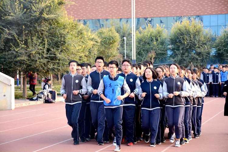 图片16