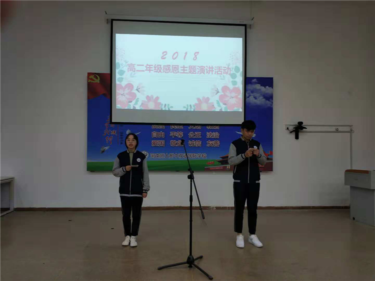 图片4
