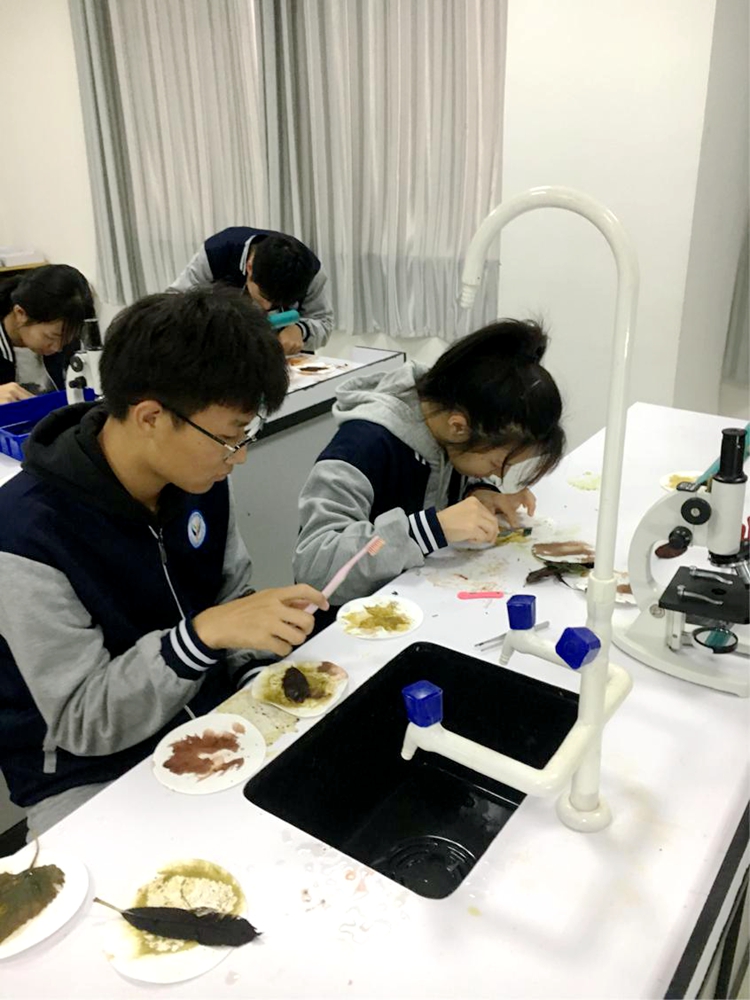 图片3