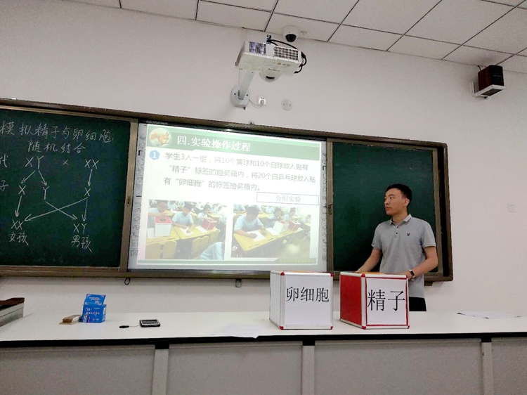图片12