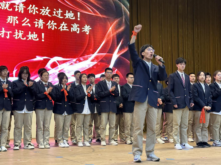 图片8
